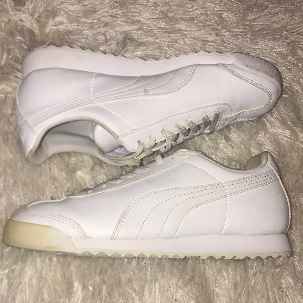 White Roma Puma